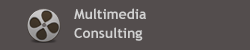 Multimedia Consulting